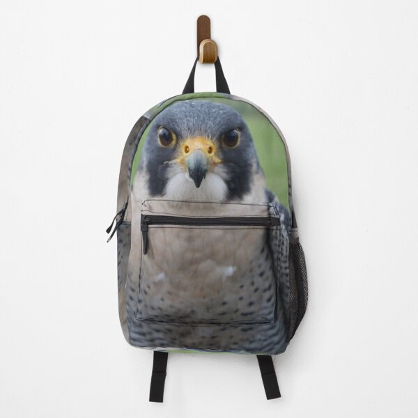 Item preview, Peregrine Falcon Head/Face designed and sold by thelemmingface.