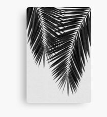 Lienzo Palm Leaf II en blanco y negro