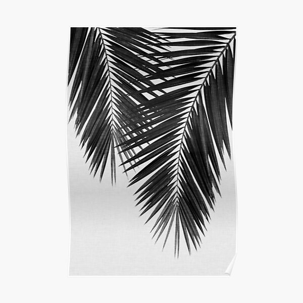 Palm Leaf II Black & White Poster