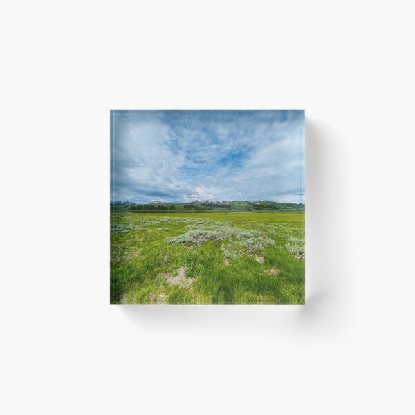Item preview, Open Field designed and sold by cobysugarsphoto.