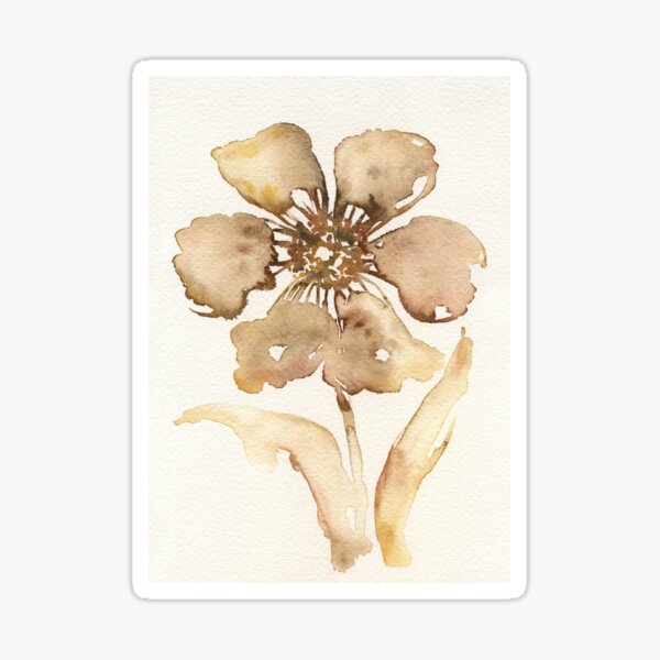 Single Poppy - brown sugar palette Sticker