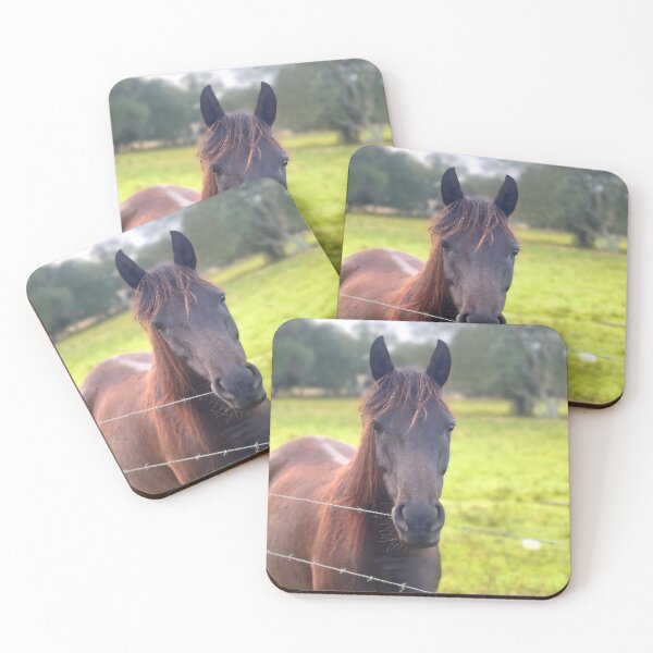 Item preview, Equine Pose designed and sold by Jason Tompkins.