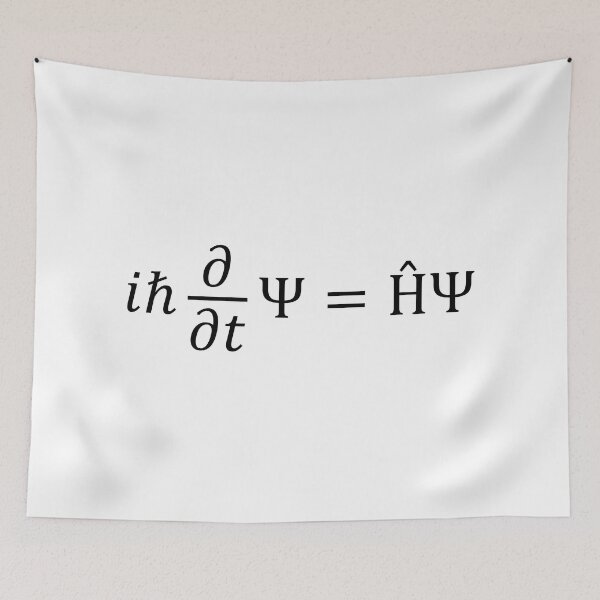 Item preview, the Schrödinger Equation designed and sold by ScienceCorner.