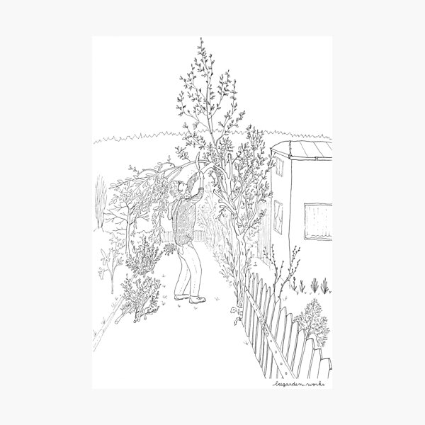 beegarden.works 003 Photographic Print
