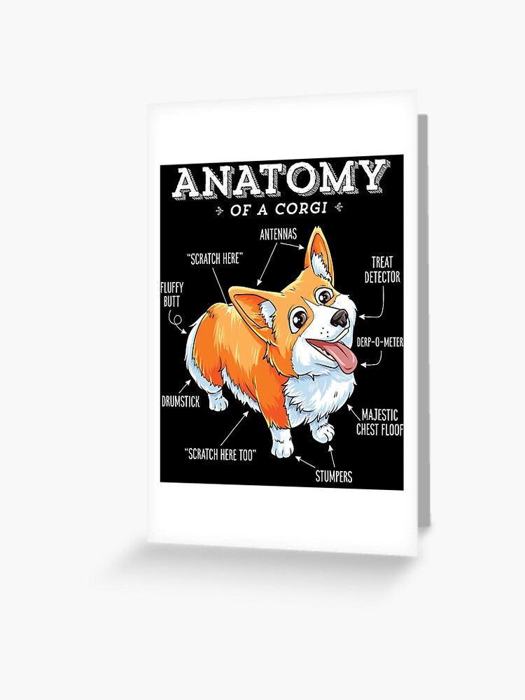 Anatomy Of A Corgi T-Shirt Funny Dog Shirt Anatomy Of A Corgi T-Shirt Funny Dog Shirt