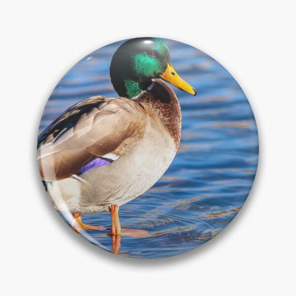Item preview, Mallard designed and sold by jvnimages.