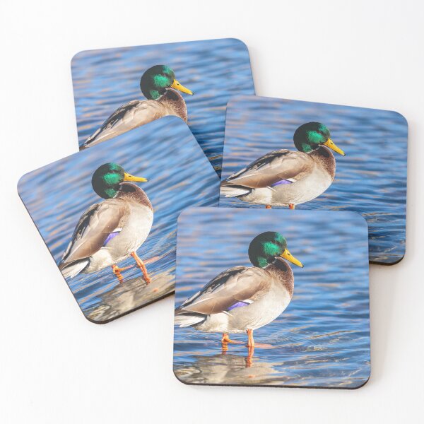 Item preview, Mallard designed and sold by jvnimages.