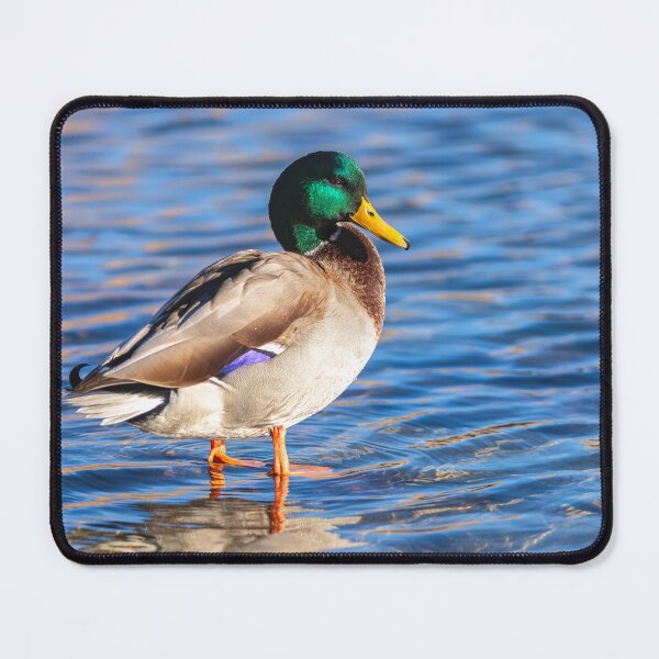 Item preview, Mallard designed and sold by jvnimages.