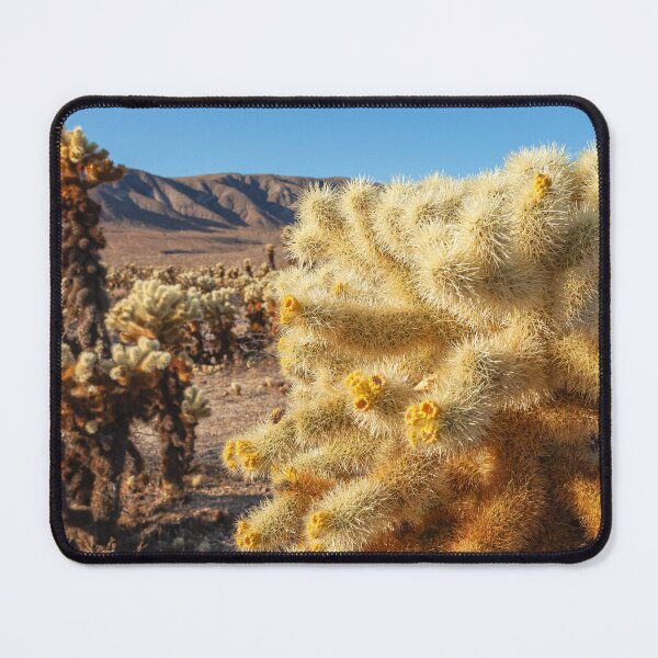 Item preview, Jumping Cholla designed and sold by jvnimages.