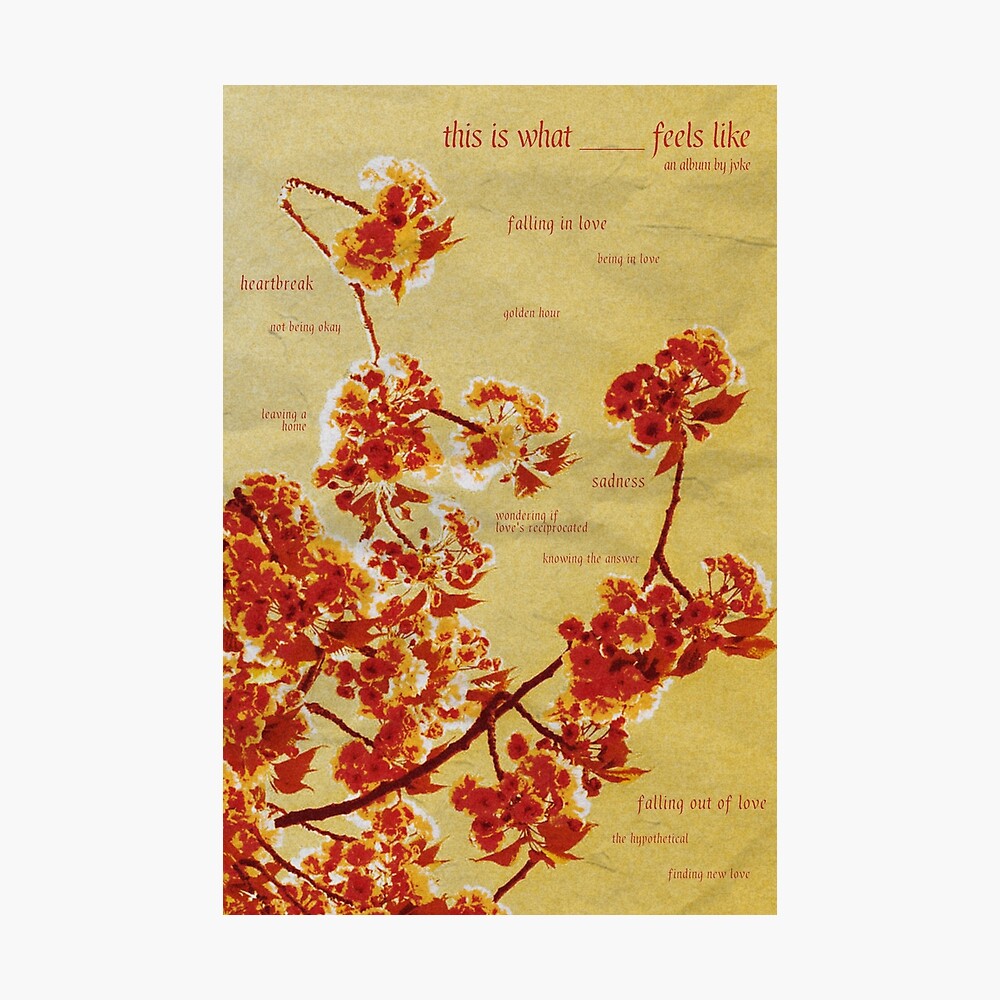 This is What ___ Feels Like Album By JVKE Poster