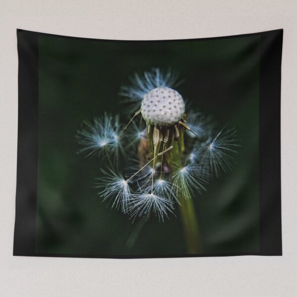Item preview, ALMOST   gone designed and sold by shadowlea.