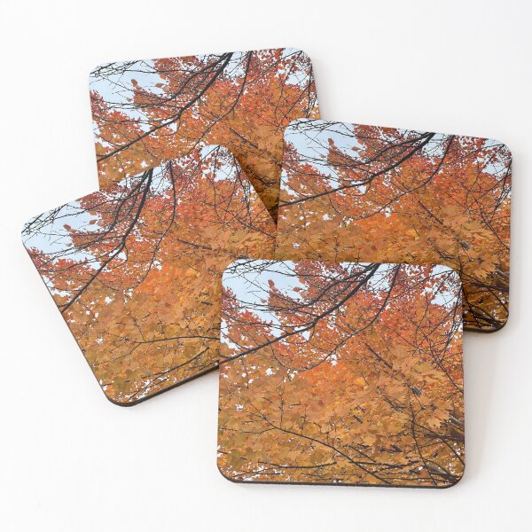 Item preview, Autumn in Northern Virginia designed and sold by ktmobrien.