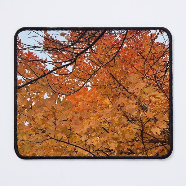 Item preview, Autumn in Northern Virginia designed and sold by ktmobrien.