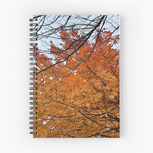 Item preview, Autumn in Northern Virginia designed and sold by ktmobrien.