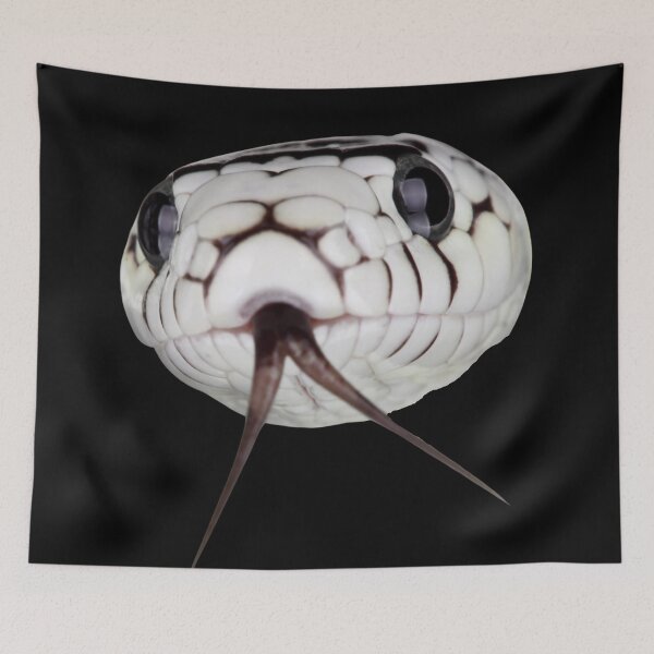 Item preview, Happy Little Snake Face designed and sold by Edenglow Prints & Peculiars.