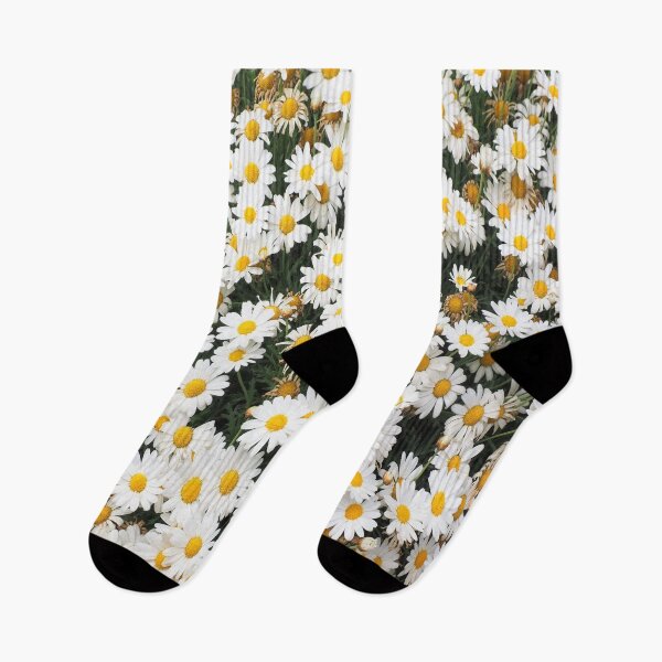 Item preview, Field of daisy flowers designed and sold by David-Howells.