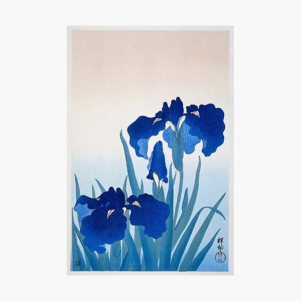Item preview, Iris flowers (1925 - 1936) by Ohara Koson designed and sold by TeeARTHY.