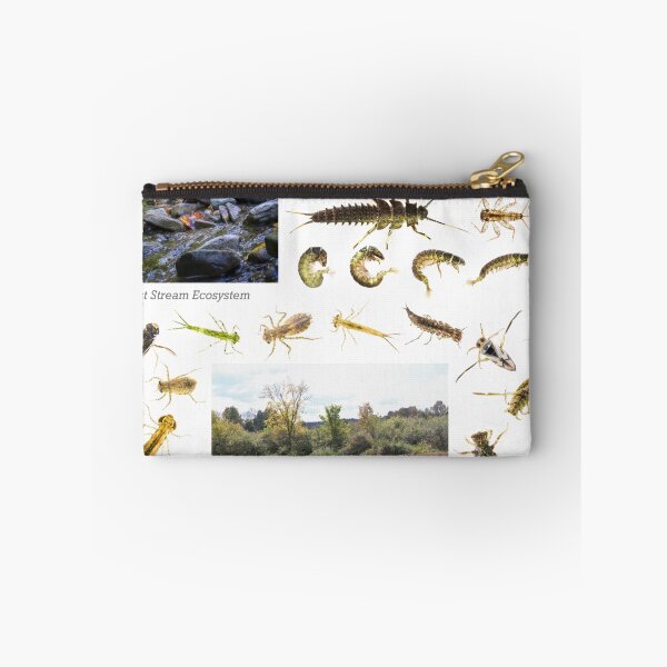 Item preview, Wetland Ecosystems and Associated Animals designed and sold by Dave Huth.