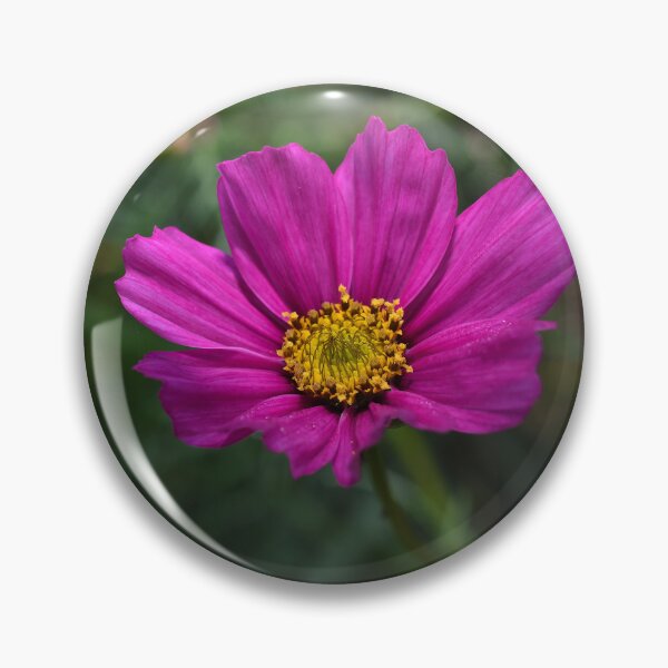Item preview, Cosmos de otoño designed and sold by Derek Steckert.