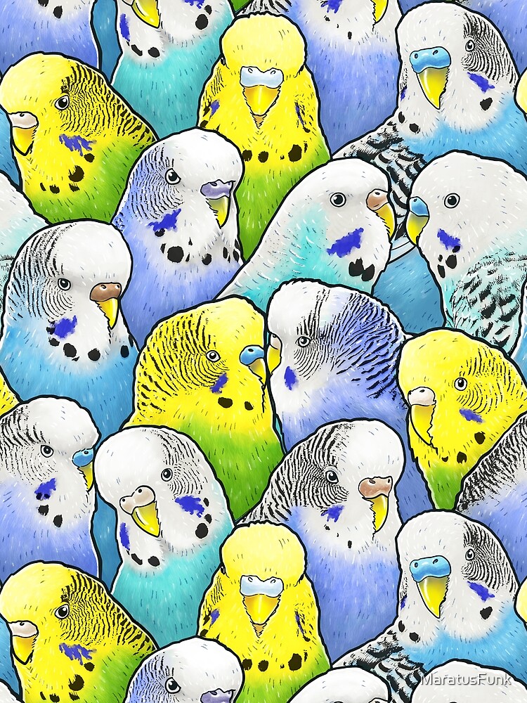 Explore the Best Budgerigar Art | DeviantArt