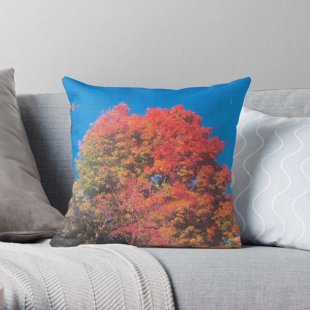 throw pillow