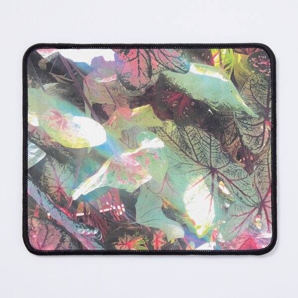 Item preview, CALADIUM LIGHT designed and sold by DAVID Liberty.