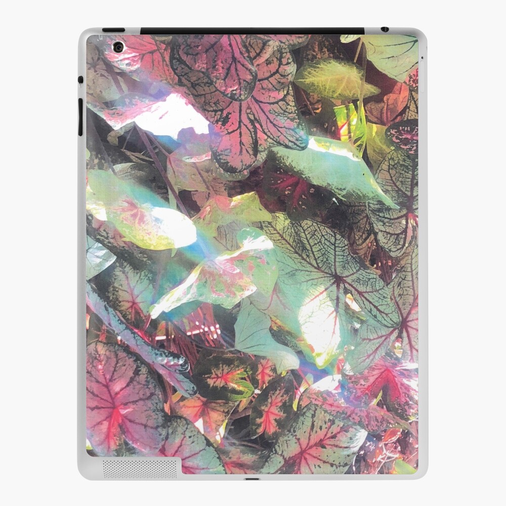 ipad skin