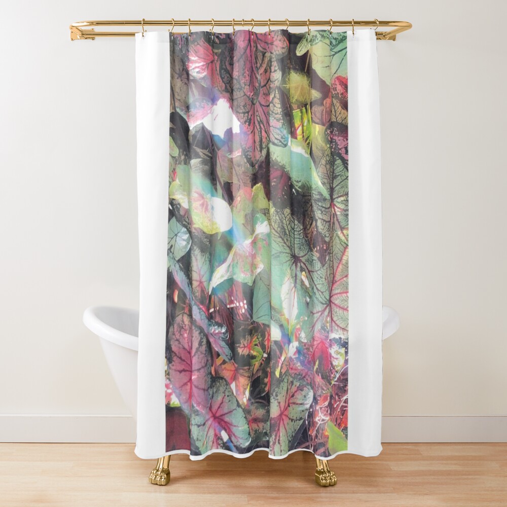 shower curtain