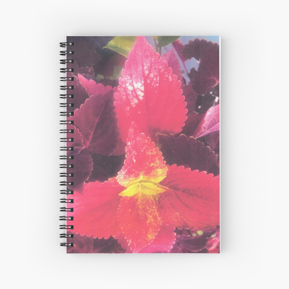 notebook