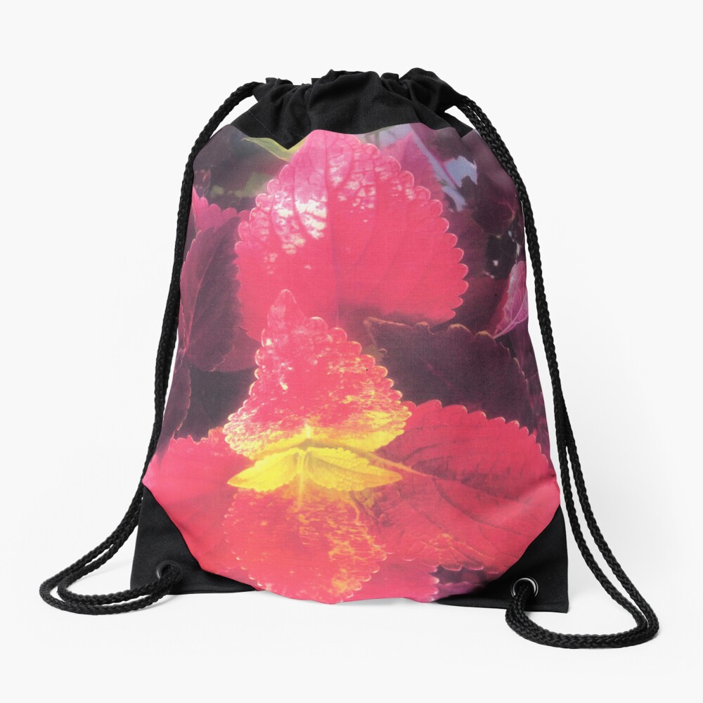 drawstring bag