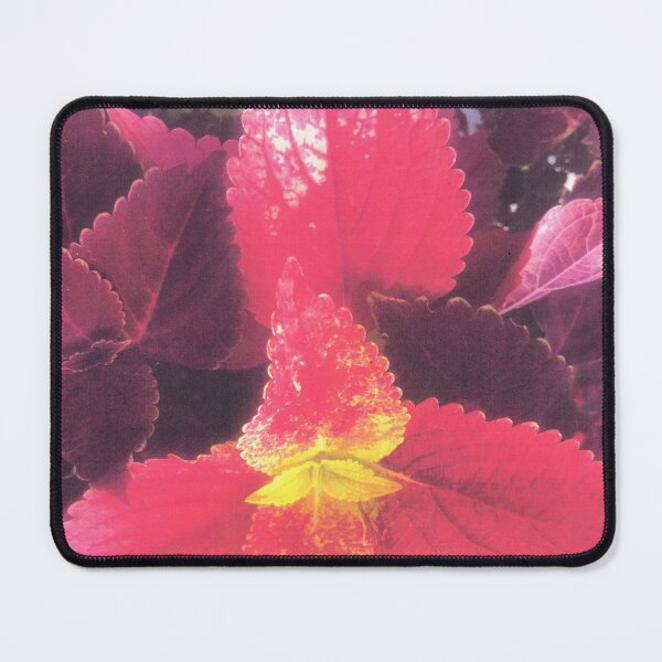 Item preview, COLEUS EXPLOSION designed and sold by DAVID Liberty.