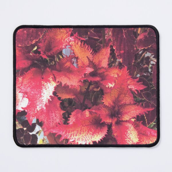 Item preview, COLEUS EXPLOSION designed and sold by DAVID Liberty.