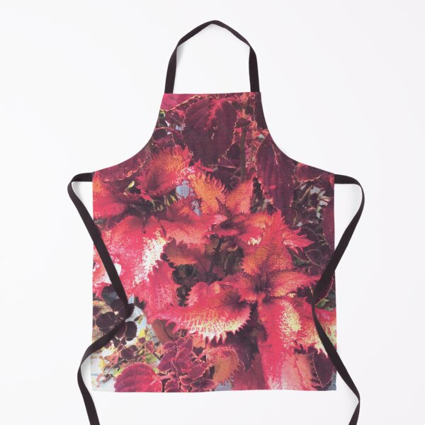 Item preview, COLEUS EXPLOSION  designed and sold by DAVID Liberty.