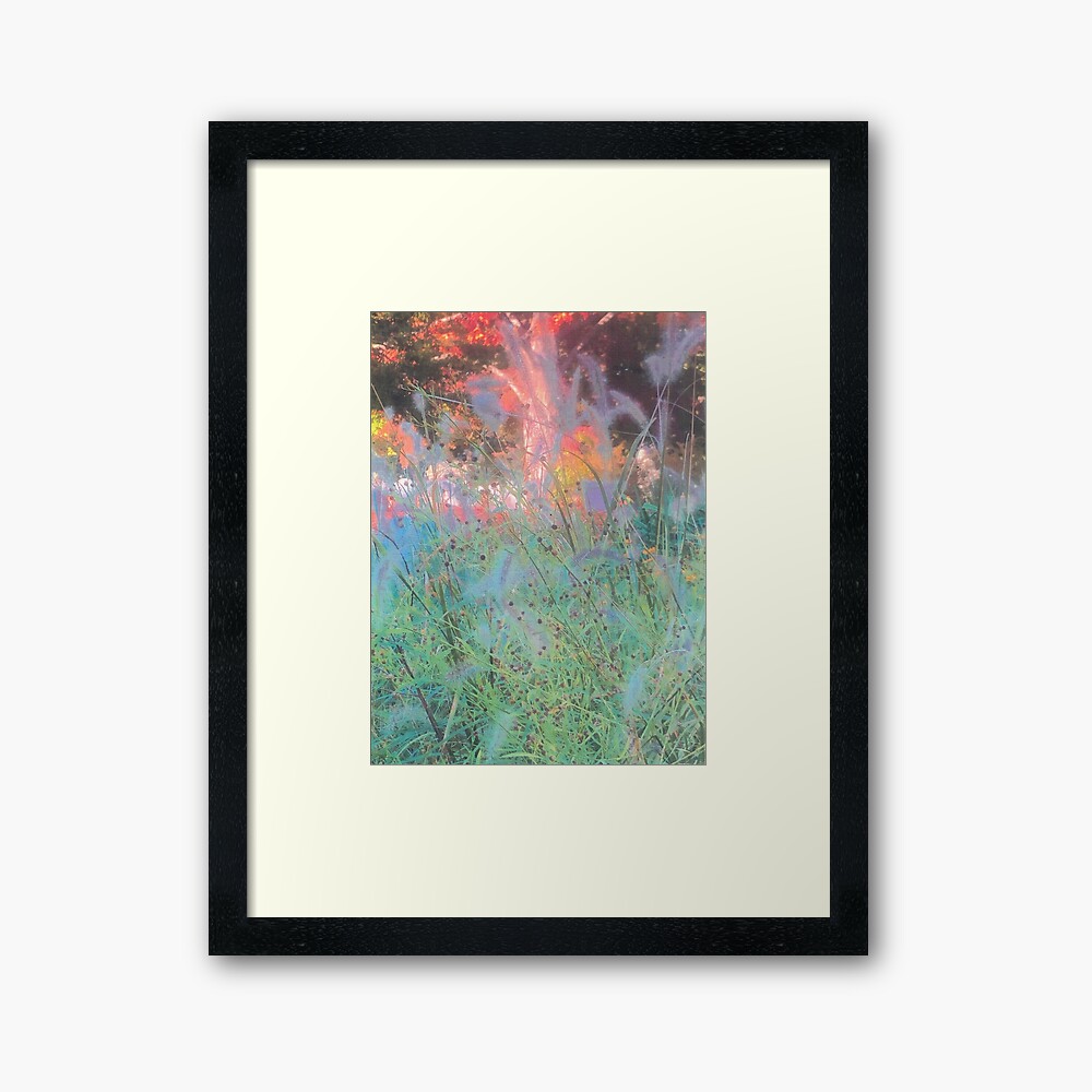 framed print