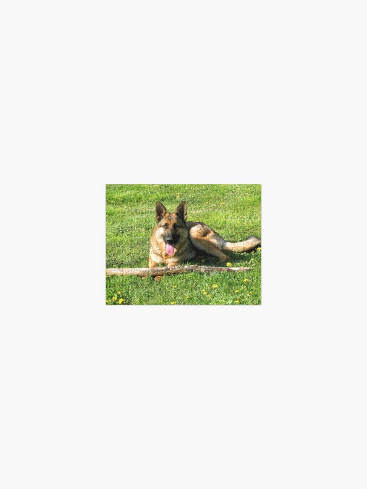 German Shepherd Jigsaw Puzzle 