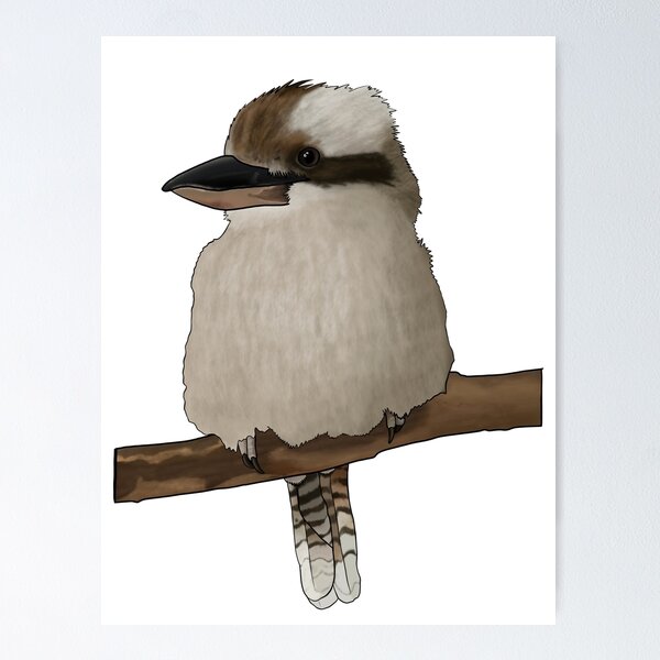 Item preview, Laughing Kookaburra designed and sold by Madison N.