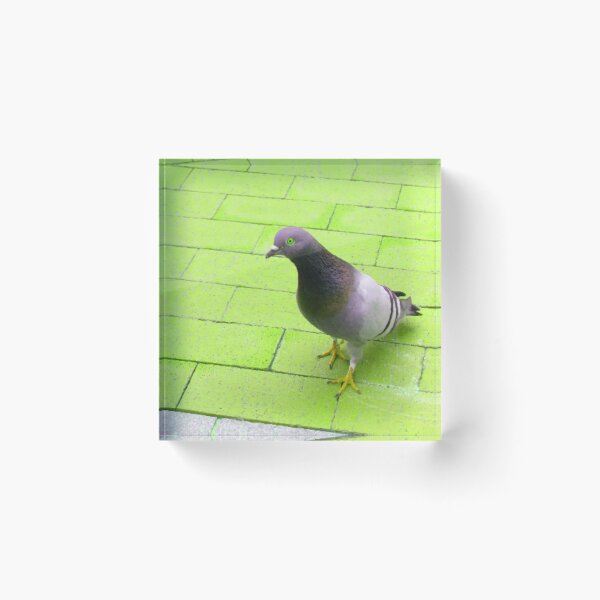 Item preview, pigeon in neon green designed and sold by AspieConjures.