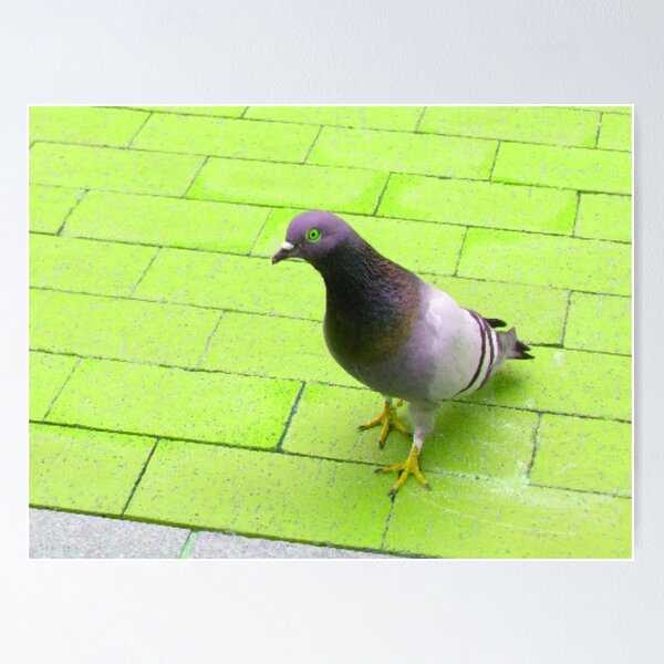 Item preview, pigeon in neon green designed and sold by AspieConjures.