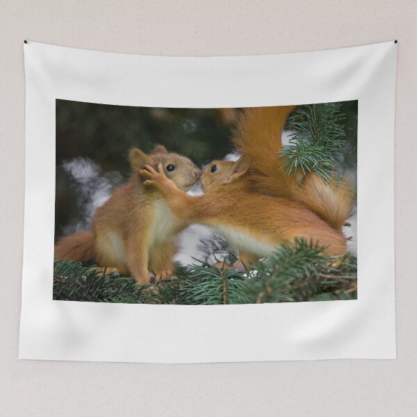 Item preview, Baby Squirrel Kiss designed and sold by Sergey Bezberdy.