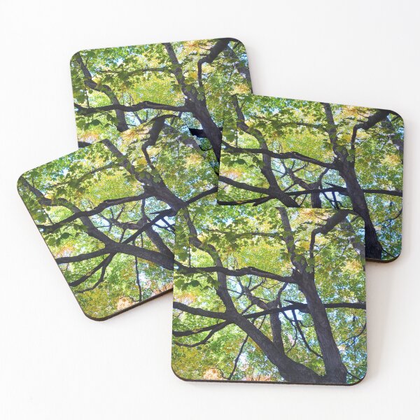Item preview, Autumn Tree Branch Leaves red orange yellow and green nature pretty delicate designed and sold by sandpaperdaisy.