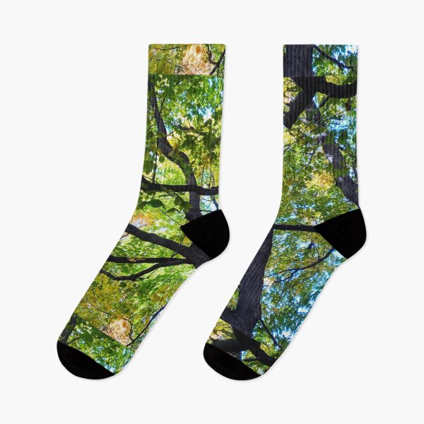 Item preview, Autumn Tree Branch Leaves red orange yellow and green nature pretty delicate designed and sold by sandpaperdaisy.