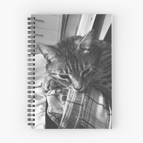 Item preview, Pongo the rescued cat designed and sold by Hurty.