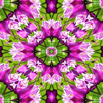 Artwork thumbnail, Purple Tulip Pattern by Patternflower