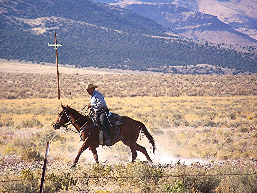 "There never was a horse that couldn't be rode;" by conilouz Redbubble