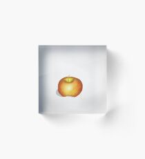 Apple Acrylic Block
