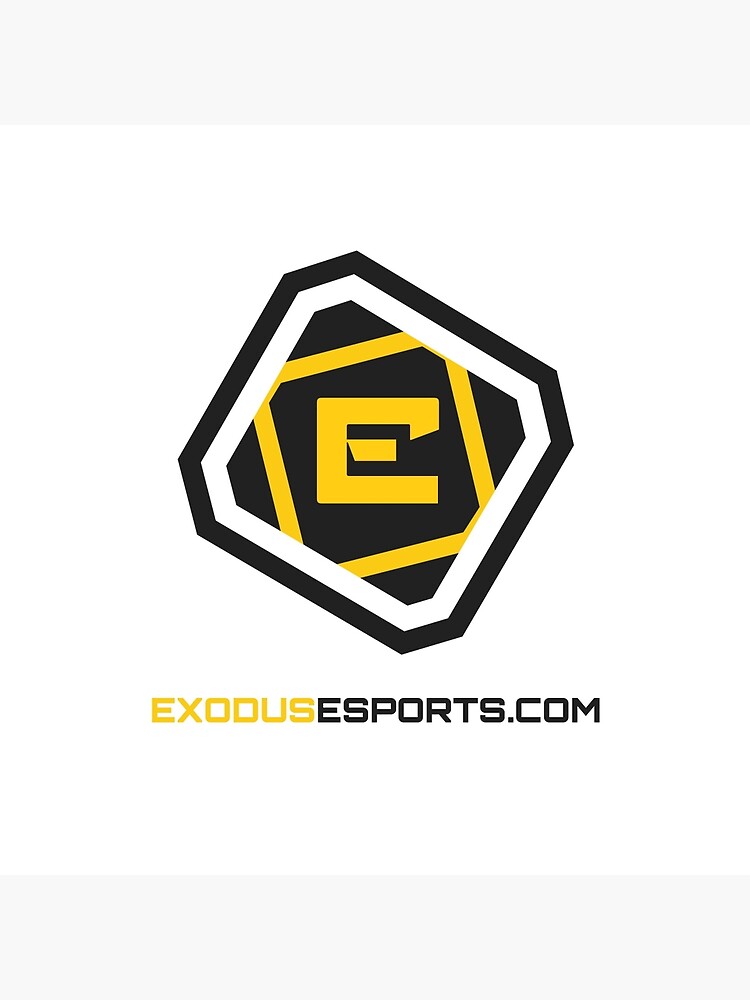 Exodus Esports by exodusesports