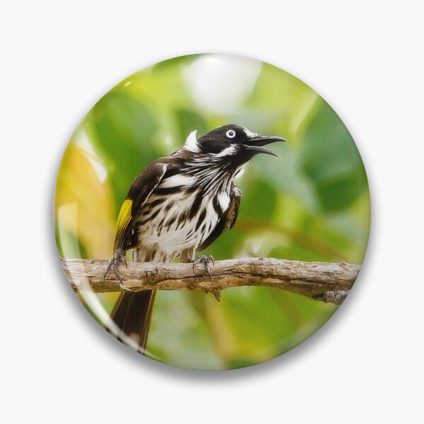 Item preview, Honeyeater designed and sold by Dave Catley.