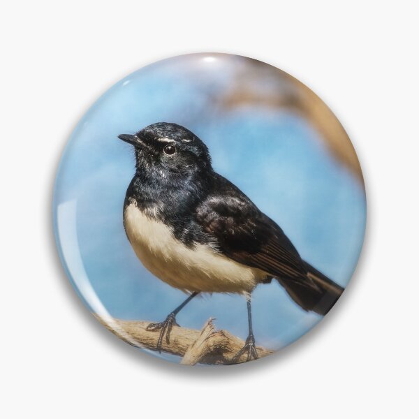 Item preview, Wagtail designed and sold by Dave Catley.