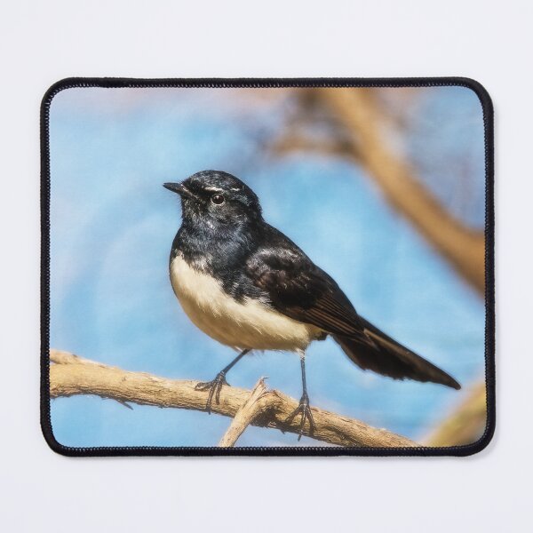 Item preview, Wagtail designed and sold by Dave Catley.