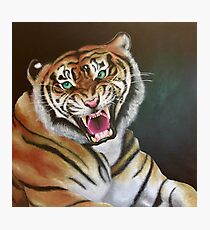 Bengal Roar Photographic Print